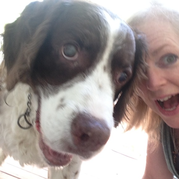 Meet your Posher, Amy - Picture 1 of 1